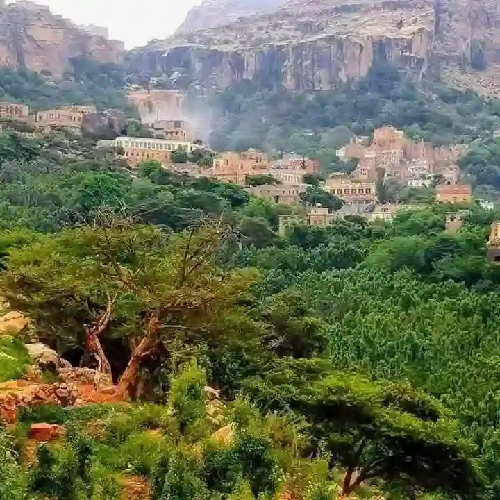 صورة المنشور
