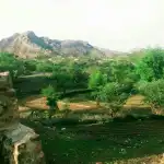 مجد الدين جنيد الجنيد